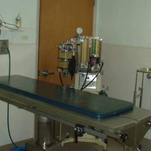 Linda Mar Veterinary Hospital surgery operating table